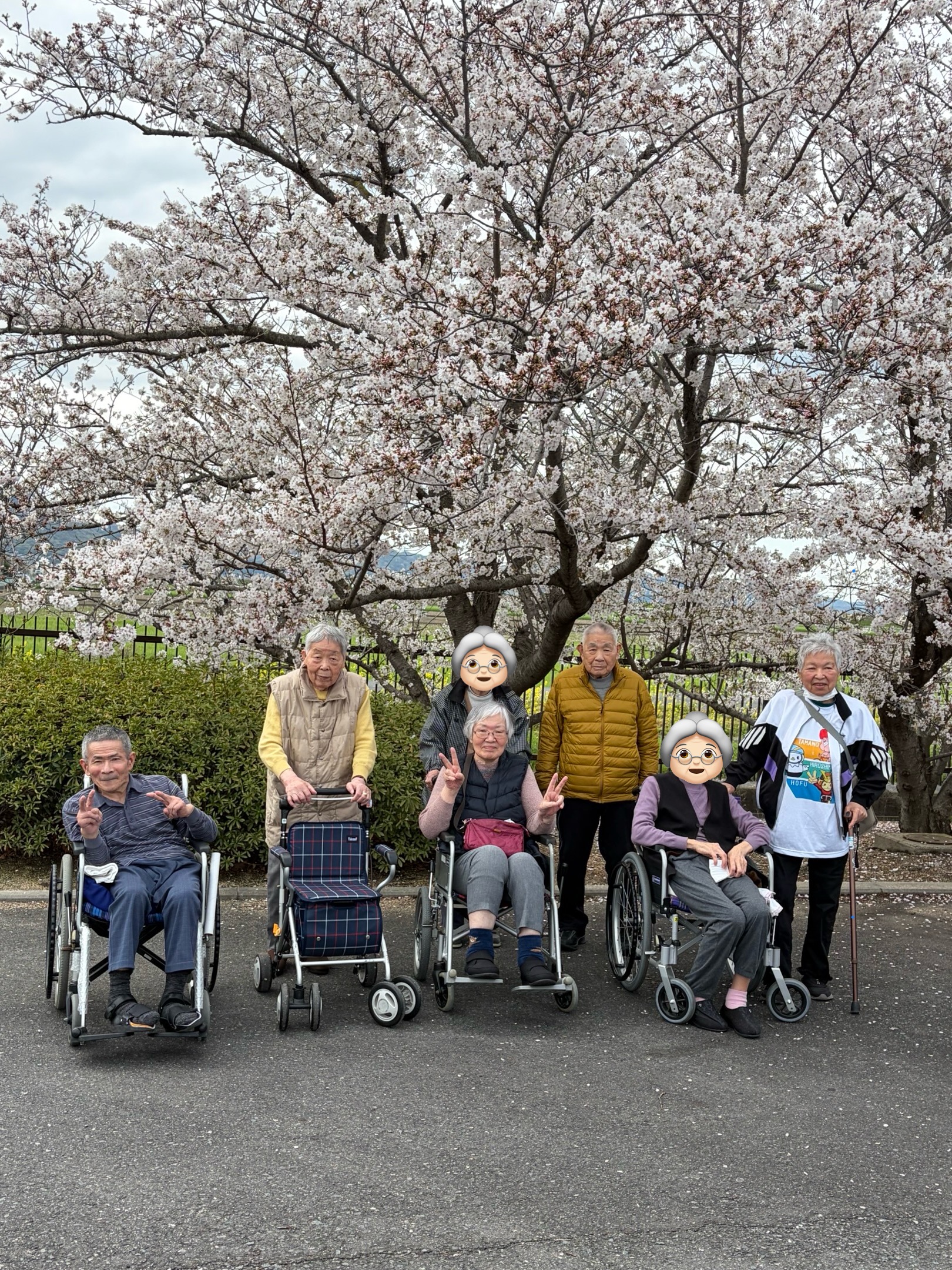 社会福祉法人 真生会 夢